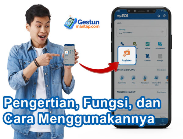 BCA Paylater: Pengertian, Fungsi, dan Cara Menggunakannya